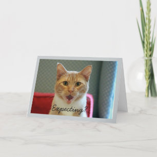 Een Baby verwachten Kaart