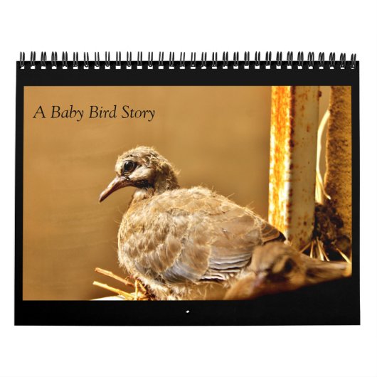 Een Baby-vogelverhaal Kalender (Hoes)