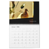 Een Baby-vogelverhaal Kalender (Jan 2026)