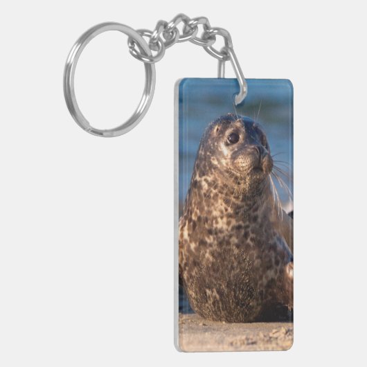 Een baby zegel die aan land komt in de kinderpool sleutelhanger (Voorkant Links)