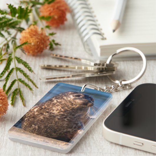 Een baby zegel die aan land komt in de kinderpool sleutelhanger (Voorkant Rechts)