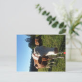 Een Baby Zwitsers Briefkaart voor de Koe (Staand voorkant)