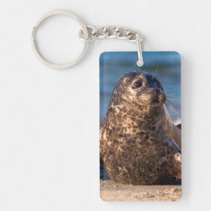 Een babyzeehond die aan land komt in Children's Po Sleutelhanger