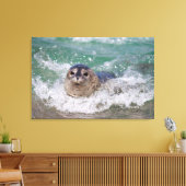 Een babyzeehond die surft canvas afdruk (Insitu (Woonkamer))