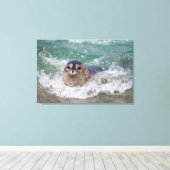 Een babyzeehond die surft canvas afdruk (Insitu (Houten vloer))