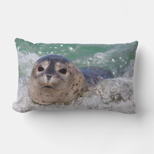 Een babyzeehond die surft kussen (Voorkant)