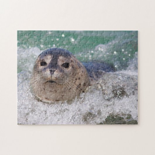 Een babyzeehond die surft legpuzzel (Horizontaal)