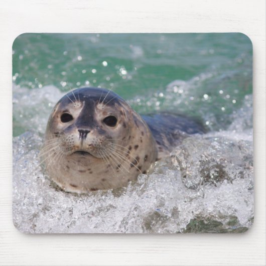Een babyzeehond die surft muismat (Voorkant)