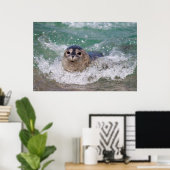 Een babyzeehond die surft poster (Thuiskantoor)