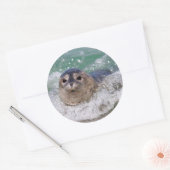Een babyzeehond die surft ronde sticker (Envelop)