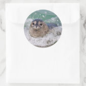 Een babyzeehond die surft ronde sticker (Tas)