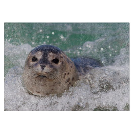 Een babyzeehond die surft snijplank (Voorkant)