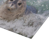 Een babyzeehond die surft snijplank (Hoek)