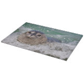 Een babyzeehond die surft snijplank (Hoek)
