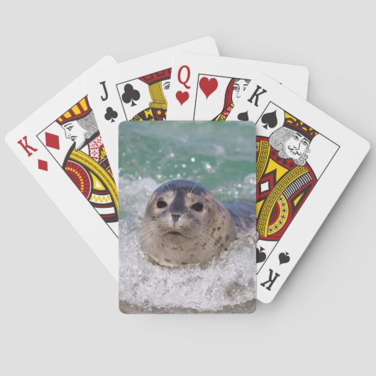 Een babyzeehond die surft speelkaarten (Achterkant)