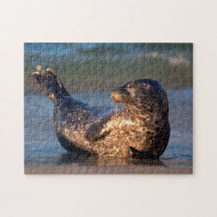 Een babyzeehond die zijn staart optilt legpuzzel