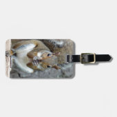 Een Bagagelabel van de Treat (Voorkant horizontaal)