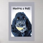 Een bal hebben! poster (Voorkant)