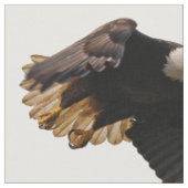 Een Bald Eagle neemt de hemel in Stof (Close Up)