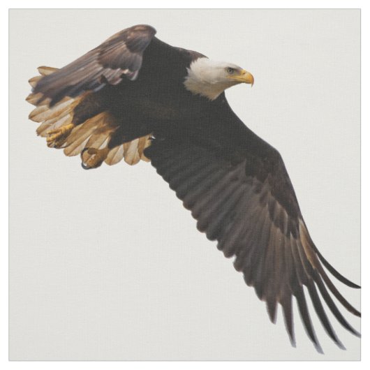 Een Bald Eagle neemt de hemel in Stof (Swatch)