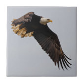 Een Bald Eagle neemt de hemel in Tegeltje (Voorkant)