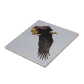 Een Bald Eagle neemt de hemel in Tegeltje (Zijkant)