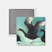 Een ballet van zwarte zwanen 2013 magneet (Voorkant / Achterkant)