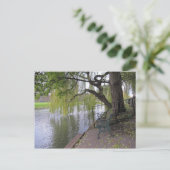 Een bank bij het Briefkaart Cam (Staand voorkant)
