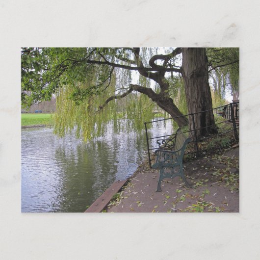 Een bank bij het Briefkaart Cam (Voorkant)