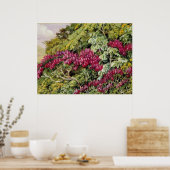 Een bank van Quaresma en Trumpet Trees, mooie kuns Poster (Keuken)