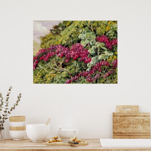 Een bank van Quaresma en Trumpet Trees, mooie kuns Poster (Keuken)