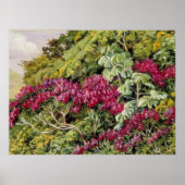 Een bank van Quaresma en Trumpet Trees, mooie kuns Poster (Voorkant)