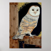 Een Barn Owl rust op een schuurdeur Poster (Voorkant)