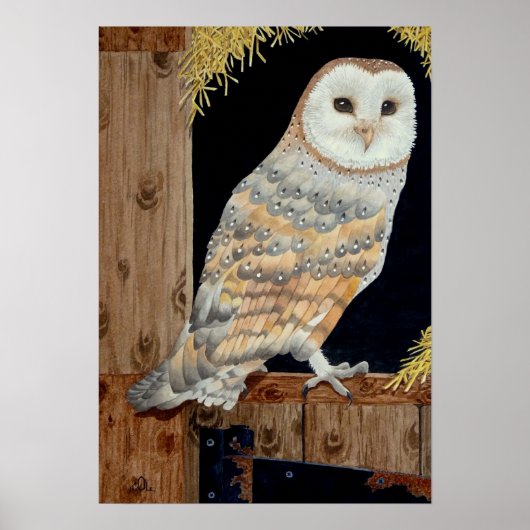 Een Barn Owl rust op een schuurdeur Poster (Voorkant)