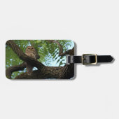 Een Barred Owl op een Tak in de Bossen Bagagelabel (Voorkant horizontaal)