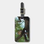 Een Barred Owl op een Tak in de Bossen Bagagelabel (Voorkant verticaal)