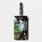 Een Barred Owl op een Tak in de Bossen Bagagelabel (Achterkant verticaal)