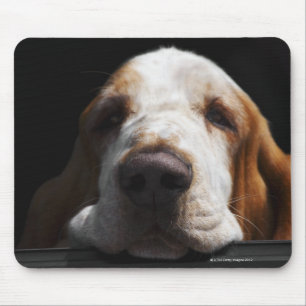 Een Basset Hound die zijn hoofd rust Muismat