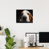 Een Basset Hound die zijn hoofd rust Poster (Thuiskantoor)