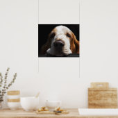 Een Basset Hound die zijn hoofd rust Poster (Keuken)