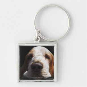 Een Basset Hound die zijn hoofd rust Sleutelhanger