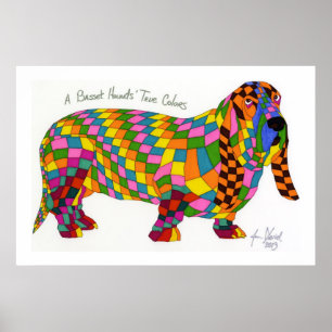 Een Basset Hounds ware kleuren, Basset Hound Poste Poster