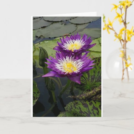 EEN "BEAUTIFUELE STROOM" VOOR "UW GROTE DAG"-KAART KAART (Gele Bloem)