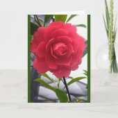 EEN "BEAUTIFUL"-ROOS VOOR "BEAUTIFUEEL" KAART (Voorkant)