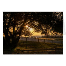 Een bedachtzame avond bij Whalehead