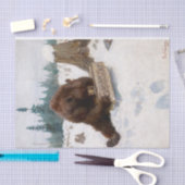 Een Beer door Philip Russell Goodwin Tissuepapier (Craft)