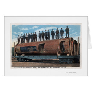 Een Beer kooi en zwelling in een gigantisch zagerl