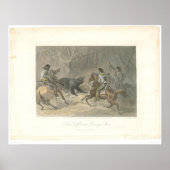 Een Beer lasoing (1178A) Poster (Voorkant)