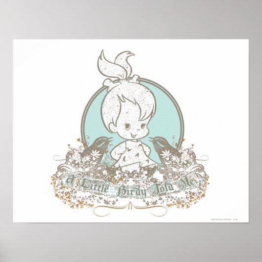 Een beetje Birdy vertelde me. Poster (Voorkant)