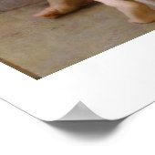 Een beetje Coaxing 1890, Poster Bouguereau (Hoek)